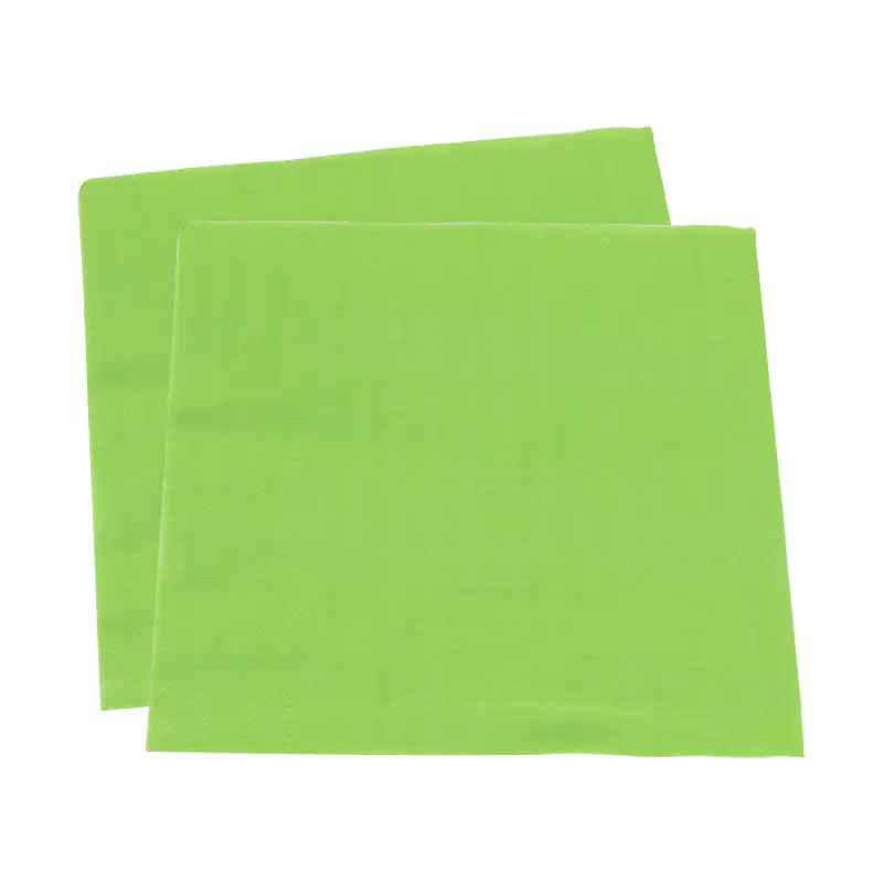 Pastel Light Green Paper Napkin (33x33 cm)